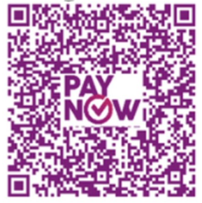 PayNow